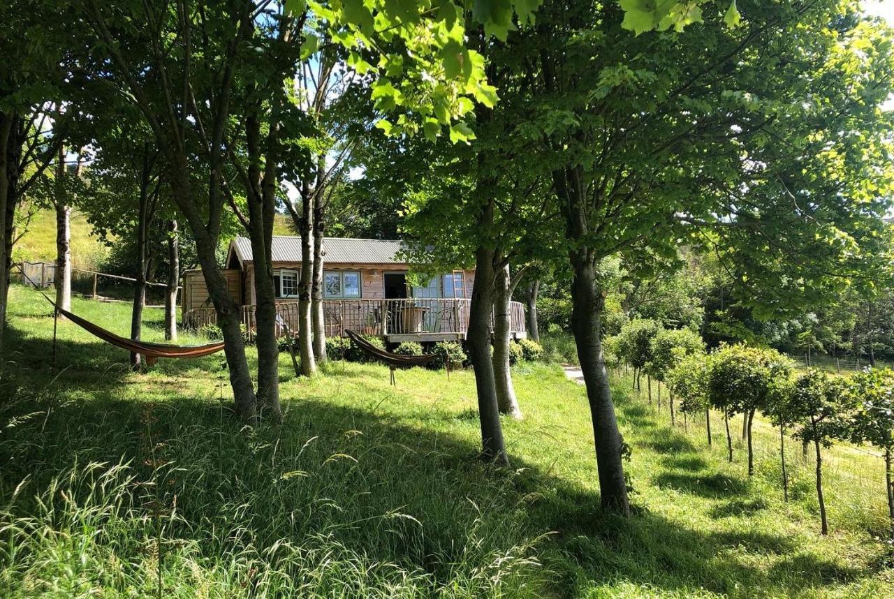 Cottage Orne Long Bredy Zewnętrze zdjęcie