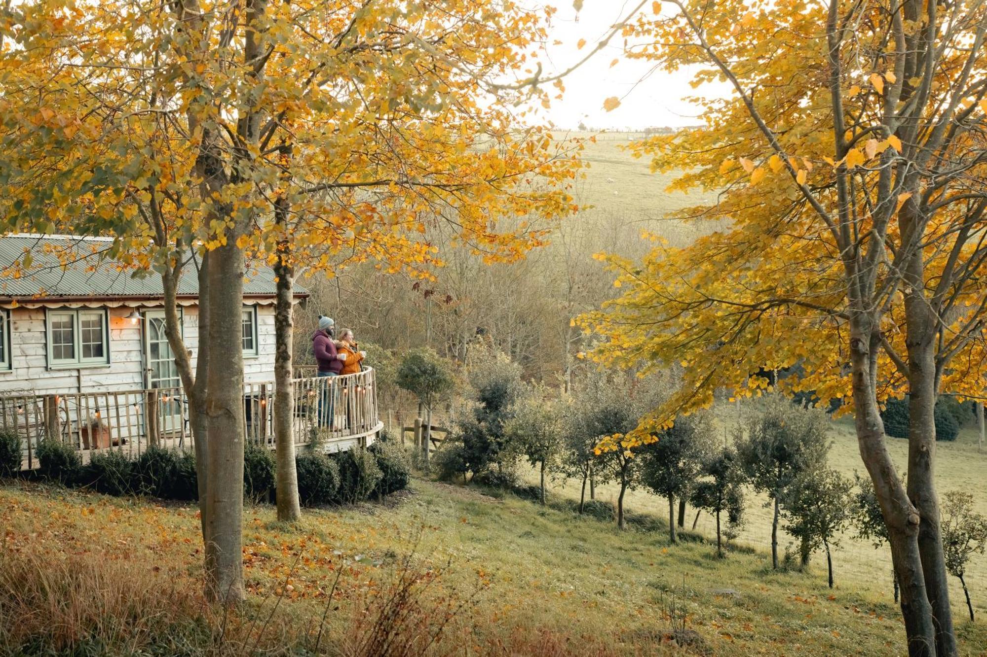 Cottage Orne Long Bredy Zewnętrze zdjęcie